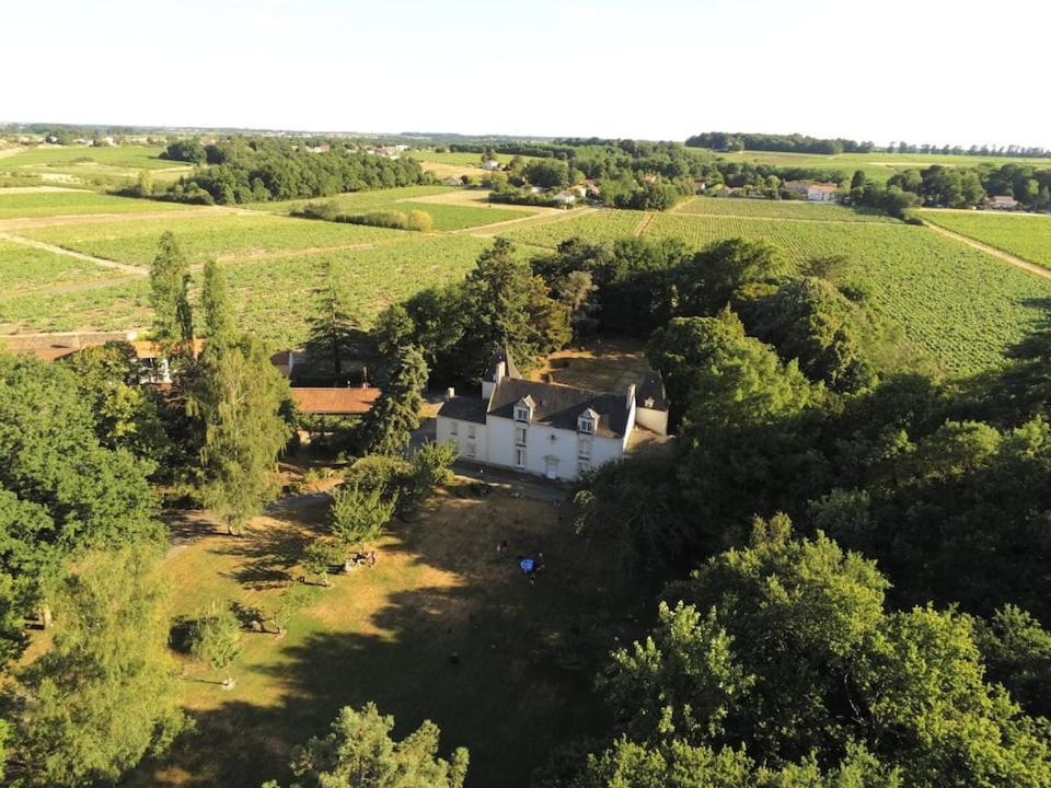 Du Vignoble A L'Atlantique - Chateau Cassemichere Gite La Chapelle-Heulin Exterior photo